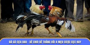 Đá Gà Cựa Dao